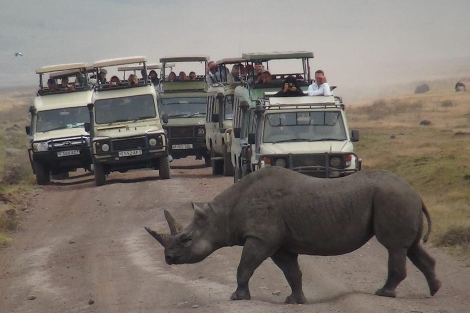 Impact Trails Leading Exceptional Tanzanian Travel and Cultural Experiences